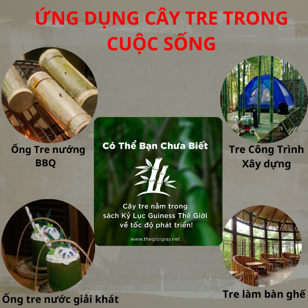 Ứng dụng tre trong cuộc sống