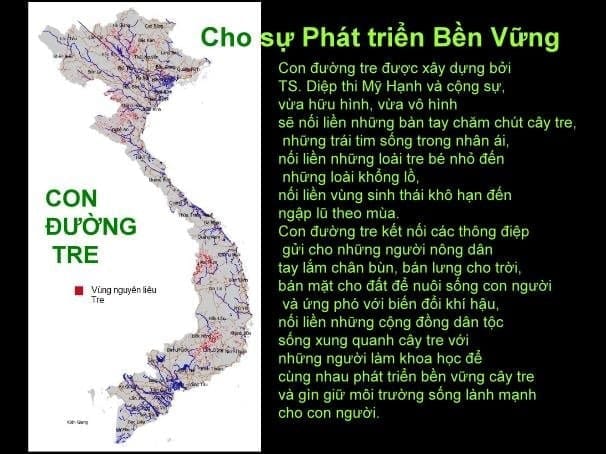 Con đường tre Việt Nam
